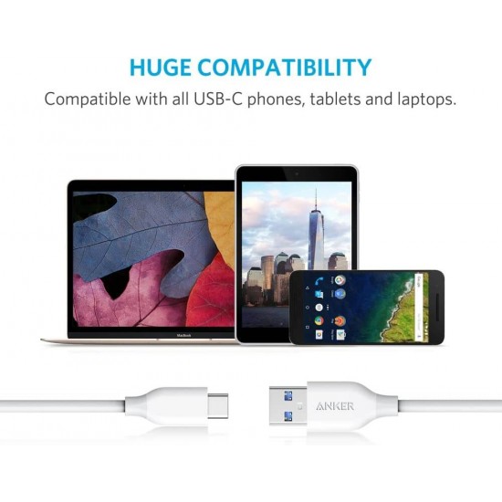 ANKER POWERLINE SELECT+ USB-C TO USB-A 6FT